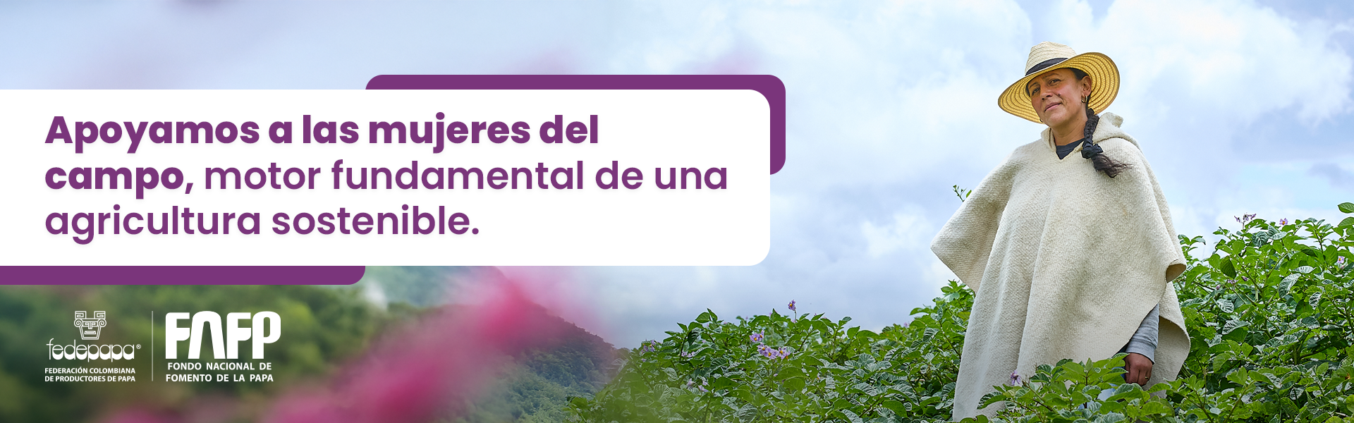 bannersMesa-de-trabajo-2